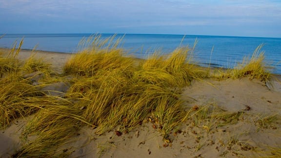 Sand dude with grass blowing in the wind on the beach with a view of Lake Ontario at Sodus Point Beach Park in Sodus Point, New York