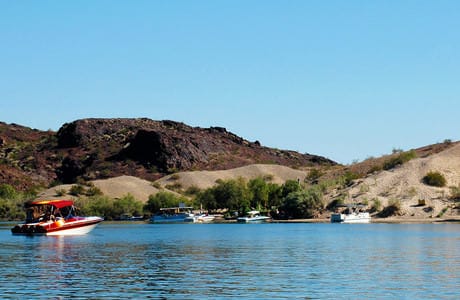 Steamboat Cove Lake Havasu