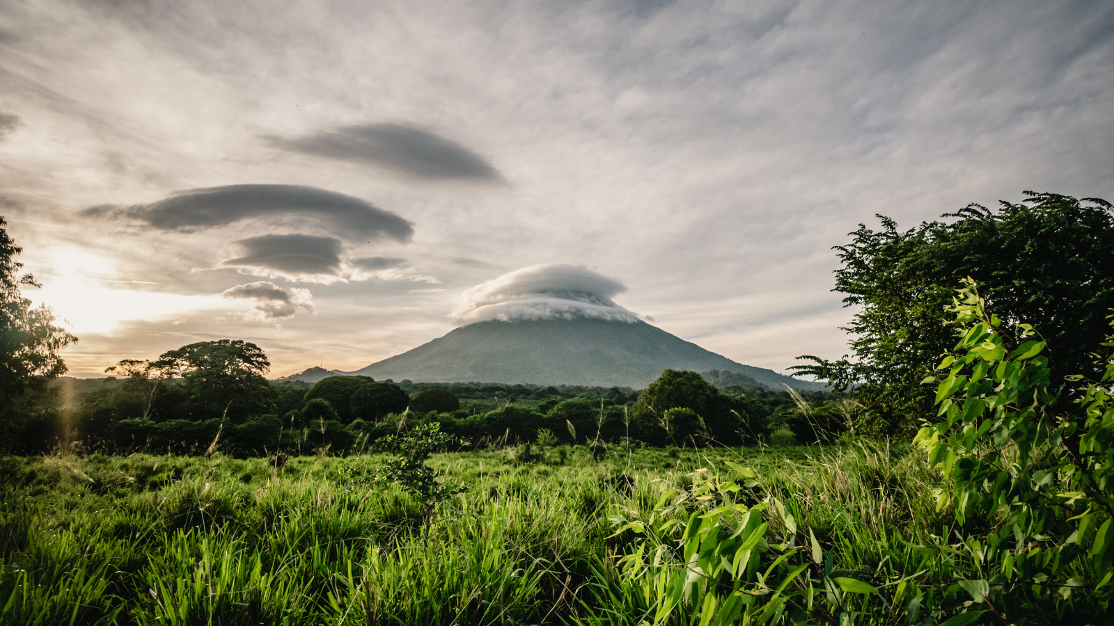 Beautiful, lush green grass with a large volcano in the distance at León, Nicaragua