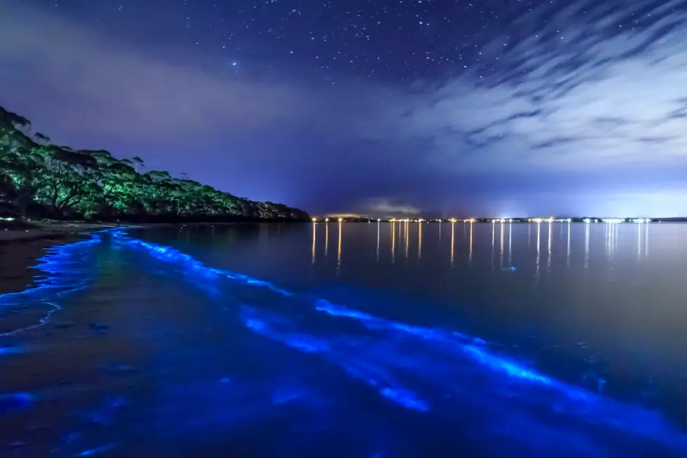 Bright blue glowing water from Mosquito Bay in Puerto Ric caused by bioluminescent algae 