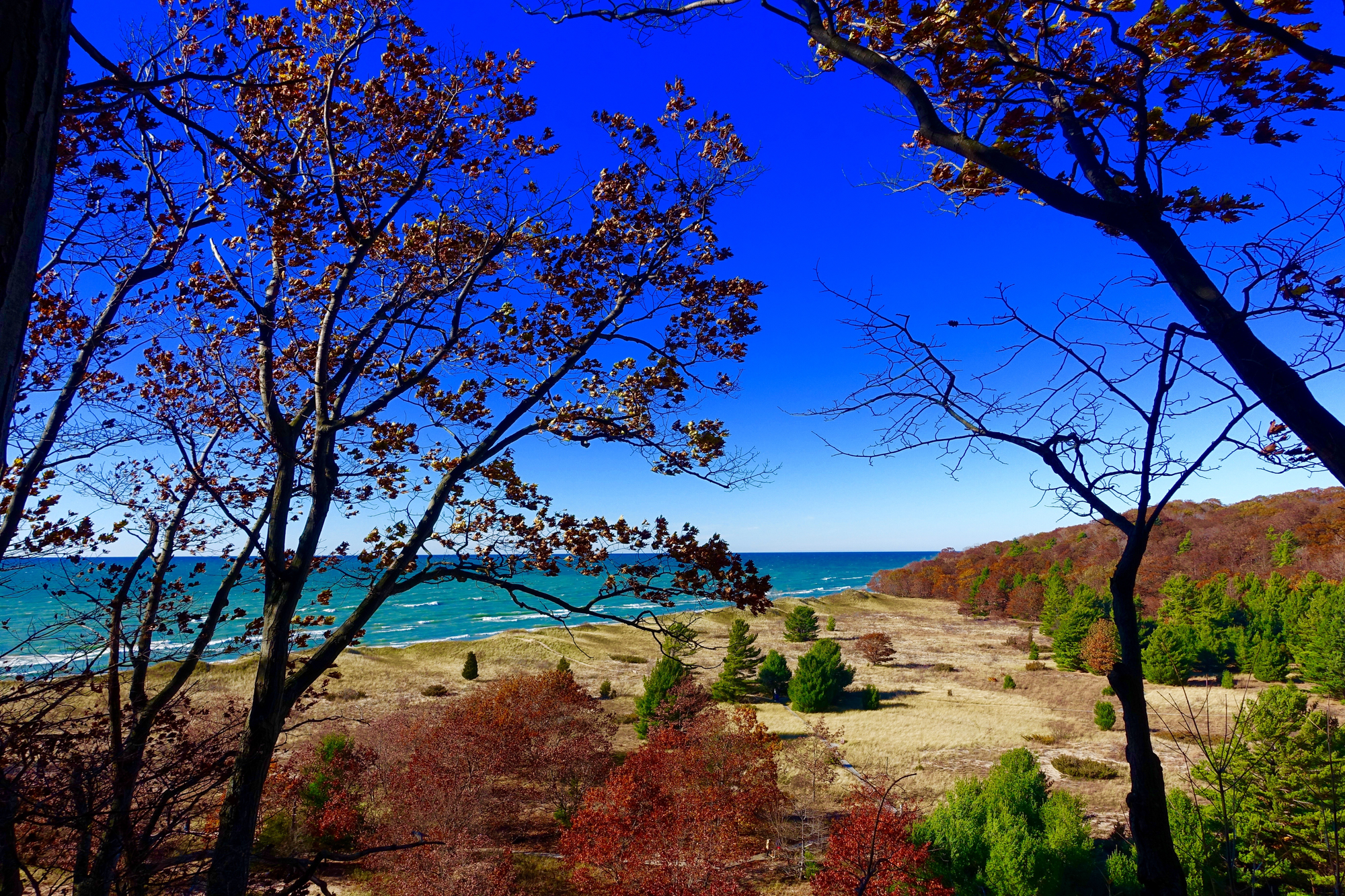 Fall on lLake Michigan with autumn lcco 