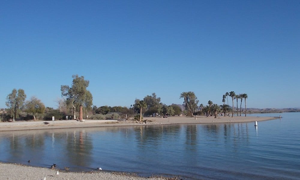 Calm lake waters and desert beaches with trees at Lake Havasu Beach Park. 