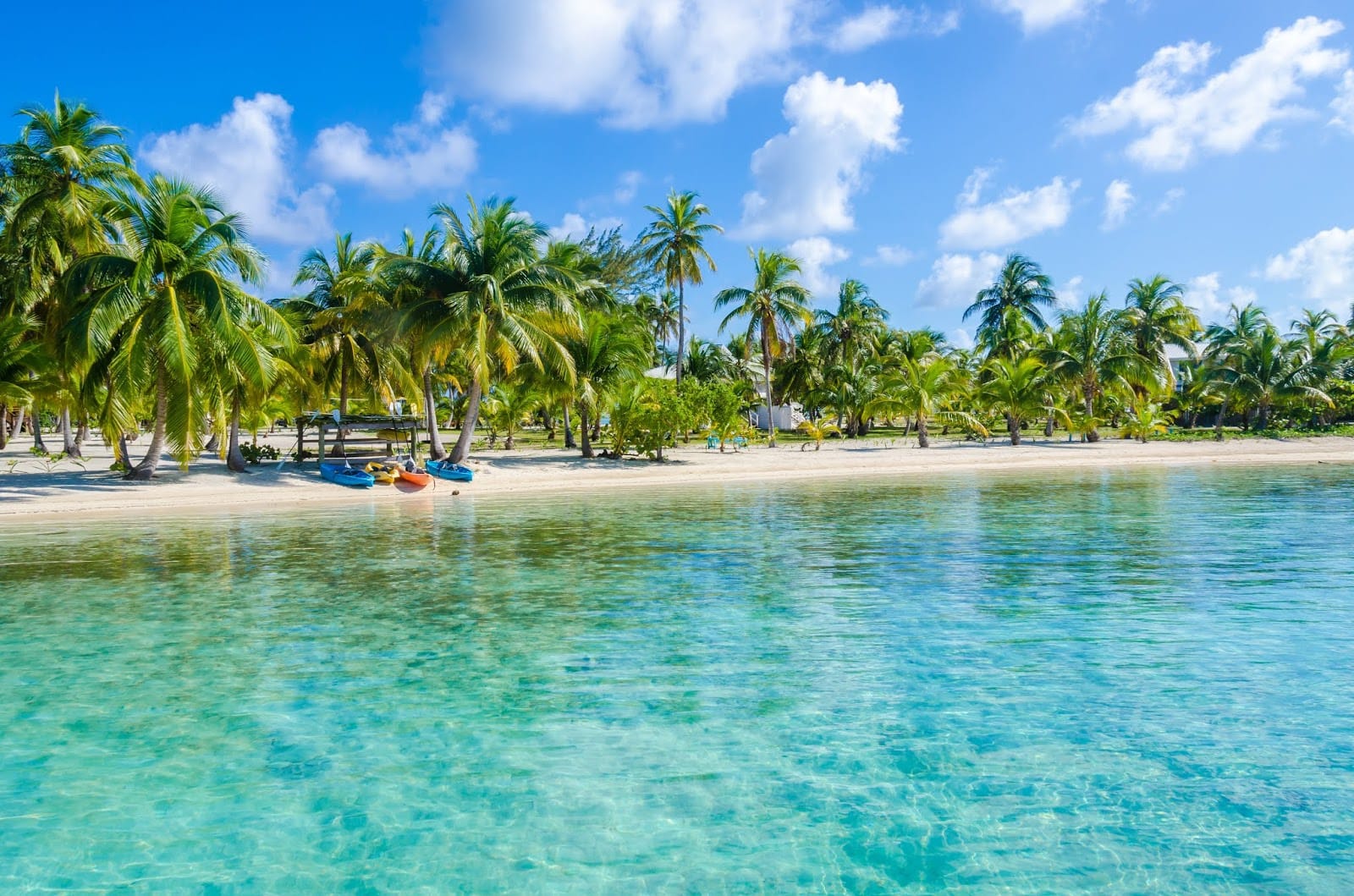 Tropical beach with clear blue Caribbean waters in Belize.