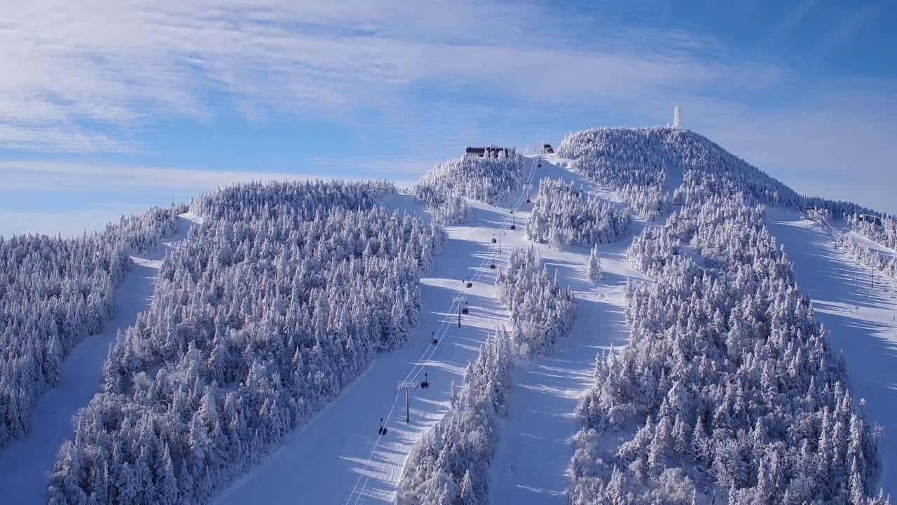 Snow covered ski runs with fresh snow covering all the trees between the runs at Killington Ski Resort.