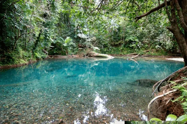 A Clear blue shallow swimming hole surrounded by lush rainforest inside Daintree National Park,