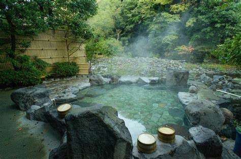 Steam rising from a natural hot spring surrounded by trees and rocks at Hakone Onsen 