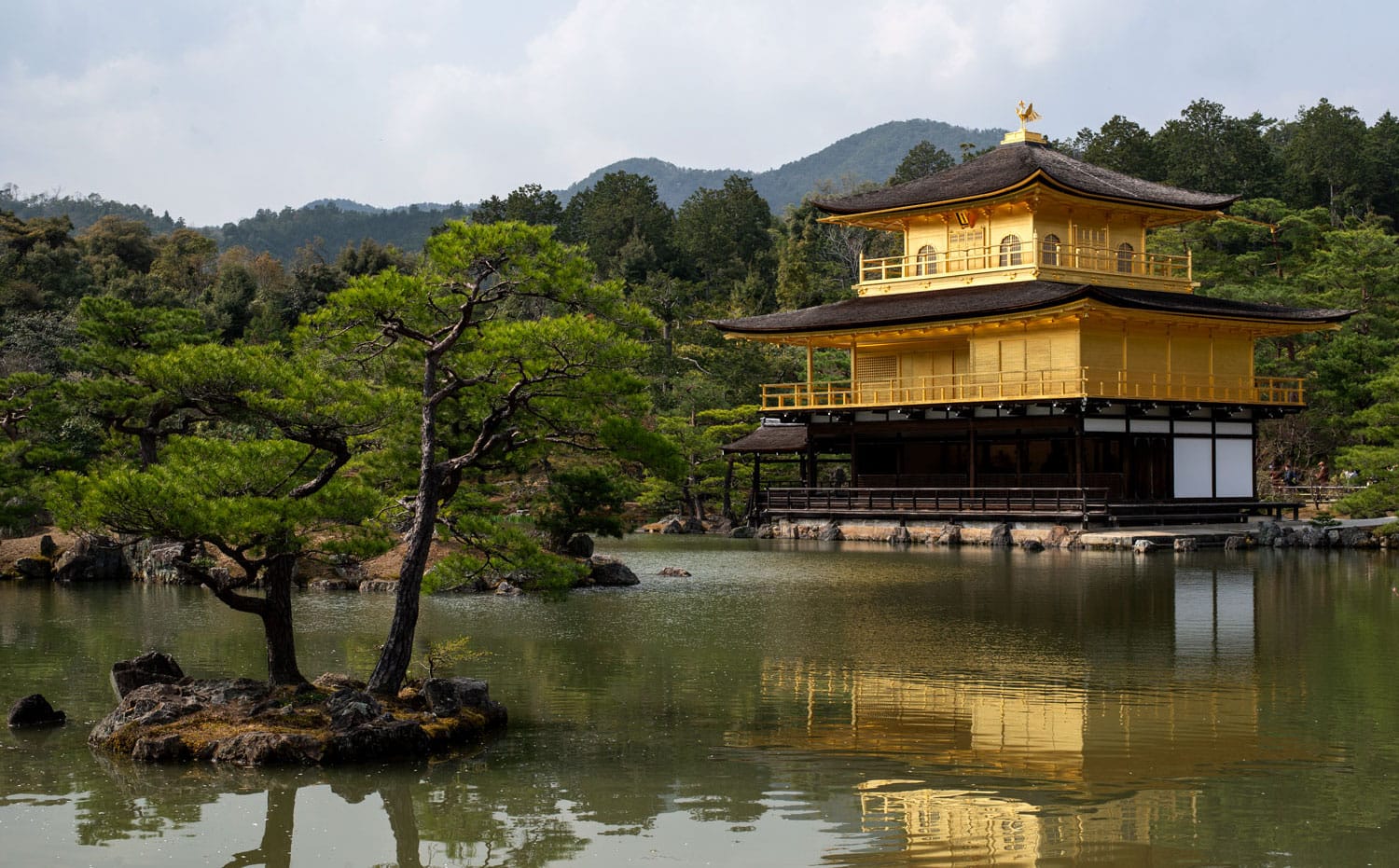 A traditional yellow colored Japanese temple on the side of a lake surrounded by forest.