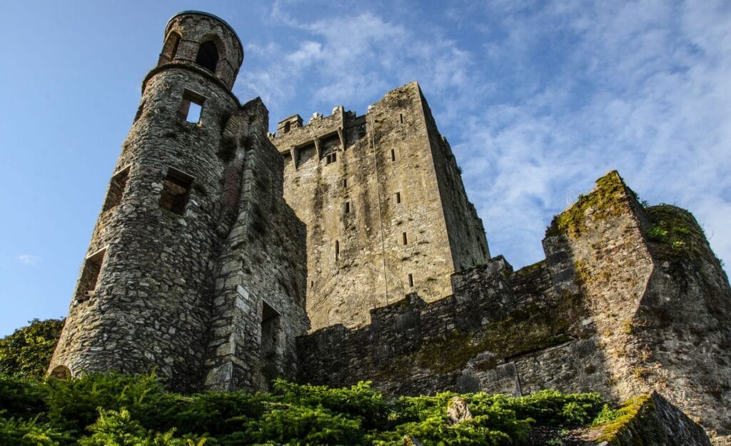 medieval castle with large tower with green shrubs at it's base and moss growing on the outside walls of the castle. 