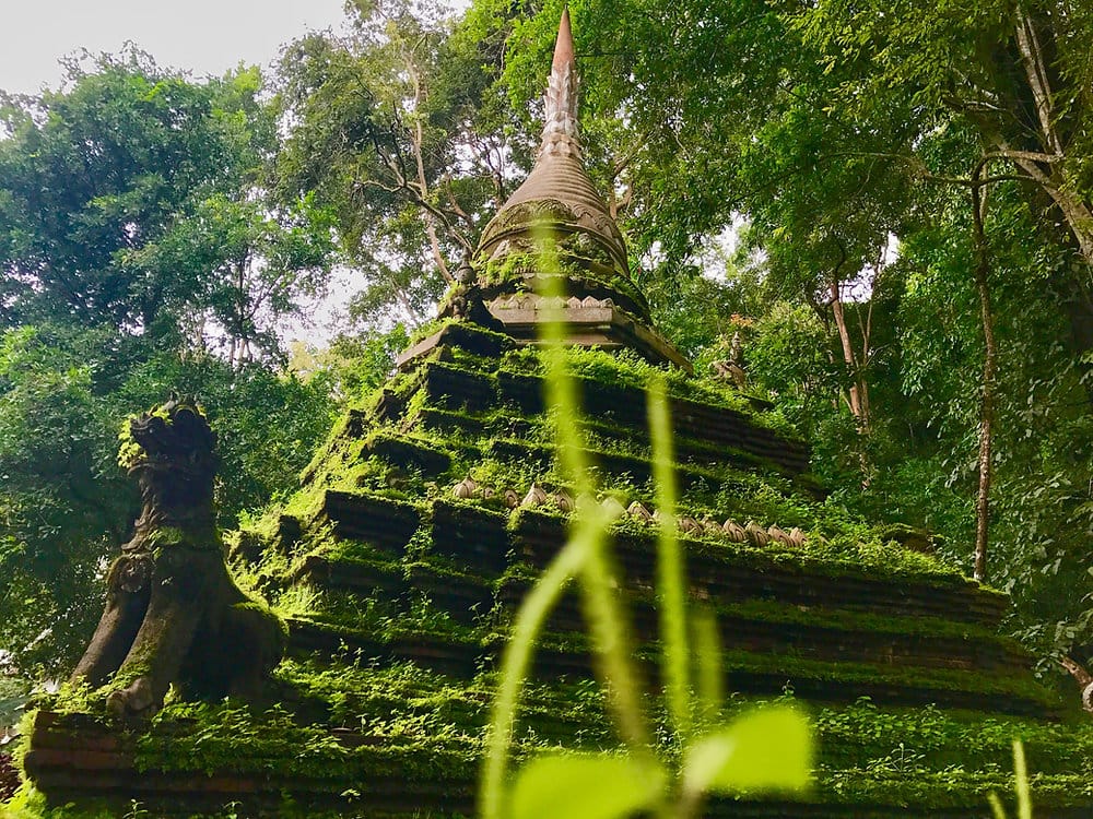  Wat Pha Lat is an ancient temple covered in bright green moss and other grasses. 