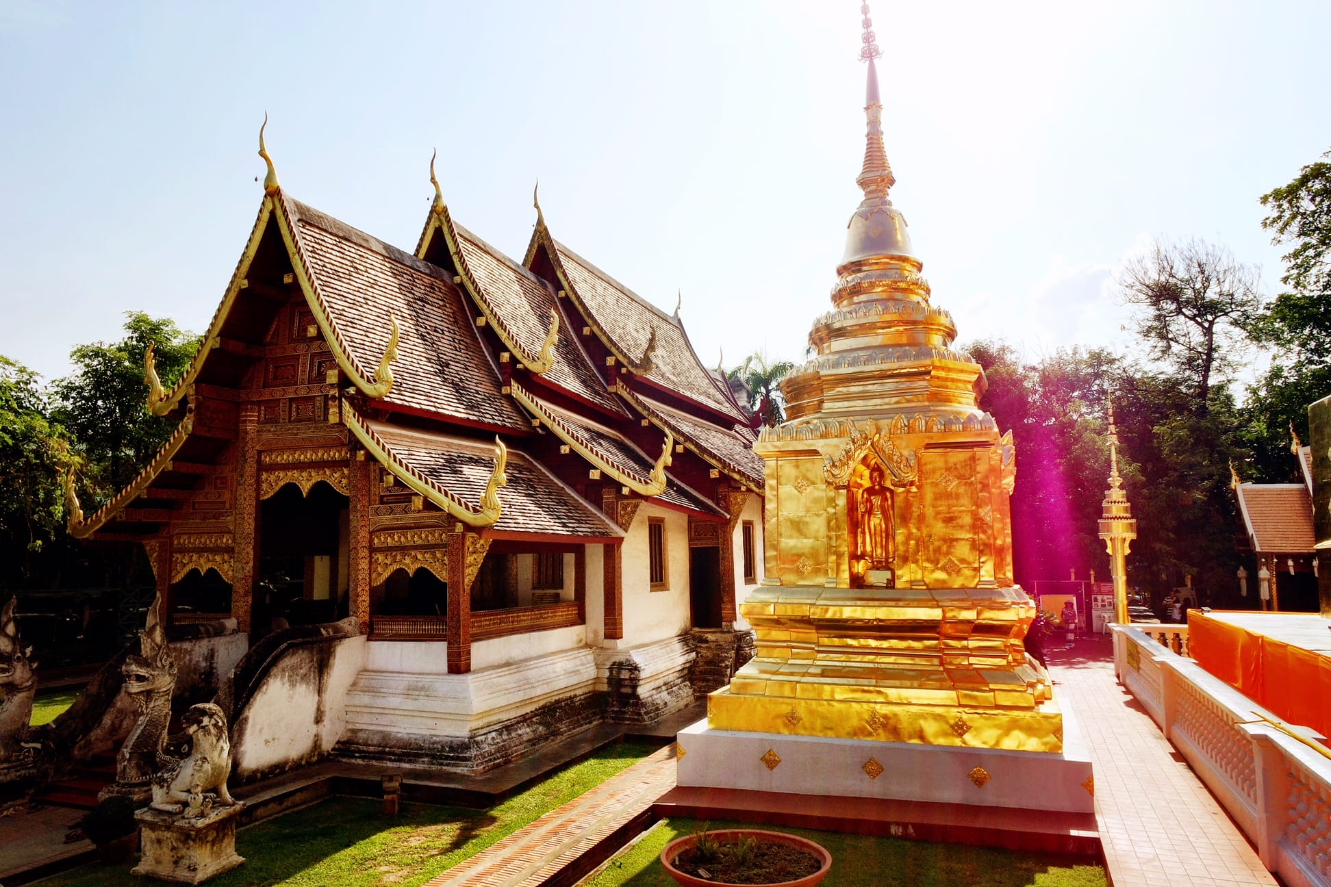 Temple with a golden Chedi surrounded by forest near Chiang Mai.