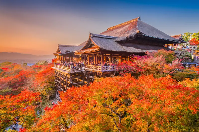 Colored leaves in the fall at Kiyomizu-Dera in Japan.