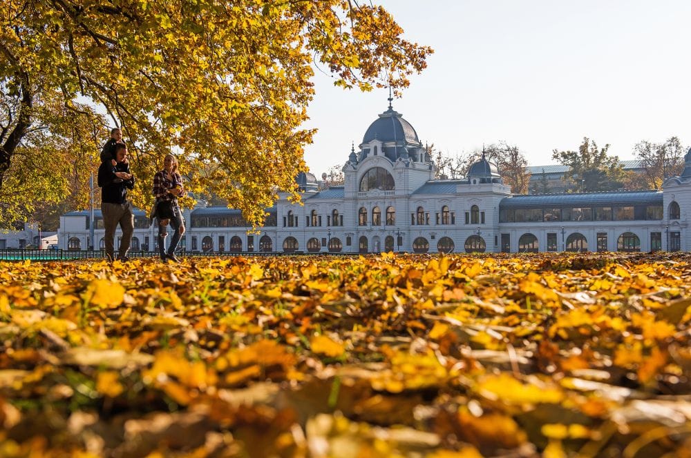 A family walking in a park in Budapest in the Fall. 