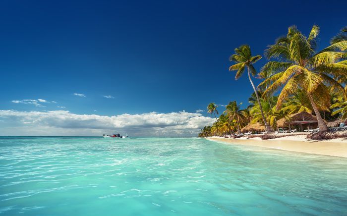 Flights To Punta Cana 🛩- 50%+ OFF From Many US Airports.