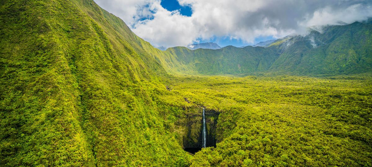 Airfare Alert - Non-Stop To Maui On Hawaiian Airlines