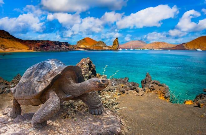 Cheap Flights To The Galapagos Islands 🔥