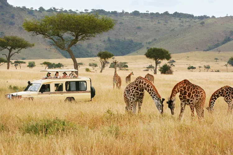Cheap Flights To Nairobi Kenya - Time For An African Safari?