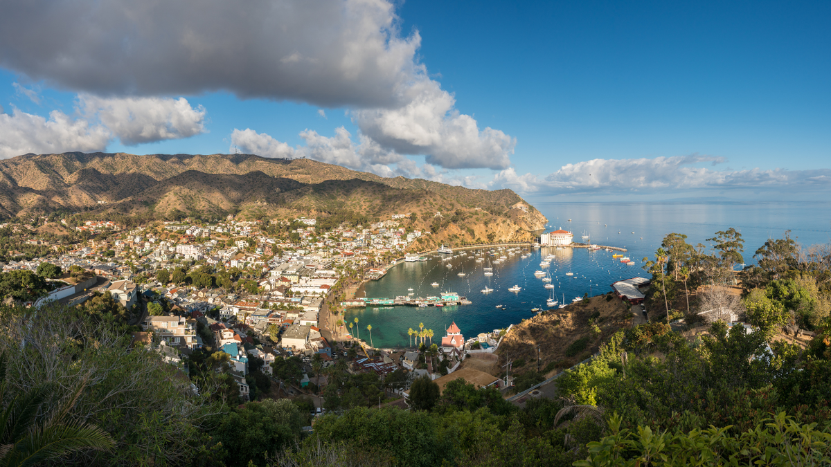 9 Of The "Best Things" To Do On Catalina Island