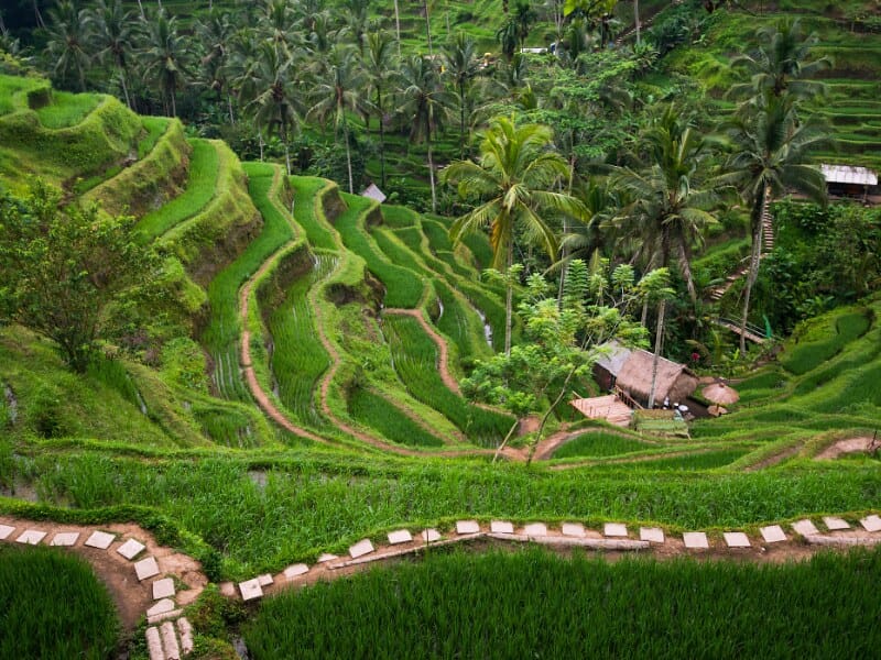 Explore Bali, Indonesia