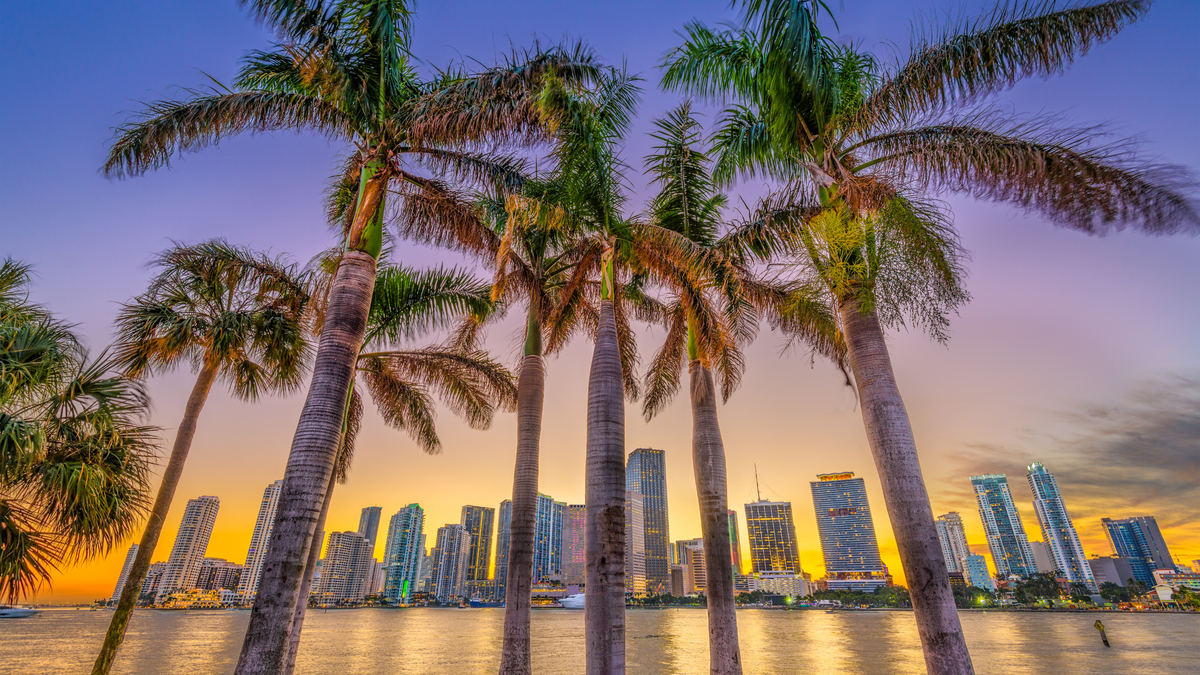 9 Best Areas of Miami to Stay In: First-Timers Guide To The City