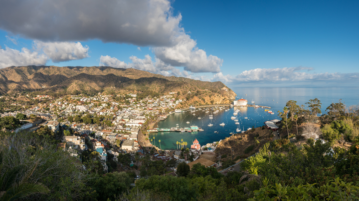 Best Things To Do On Catalina Island 