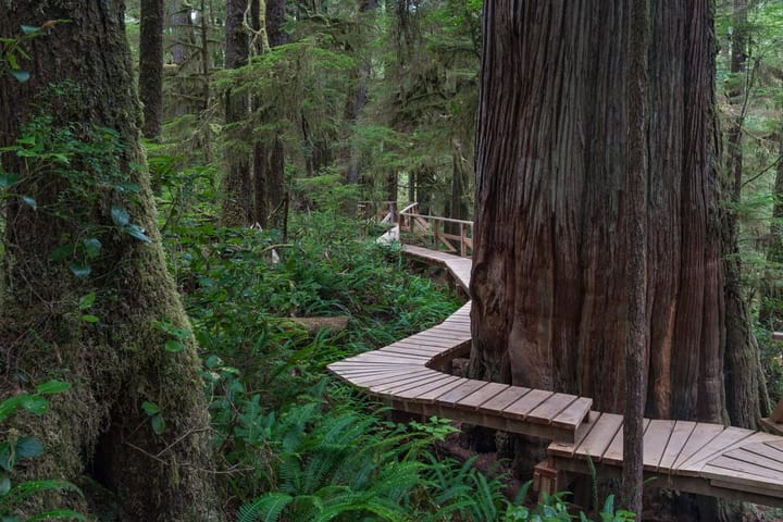 The Best Parks To Explore On Vancouver Island
