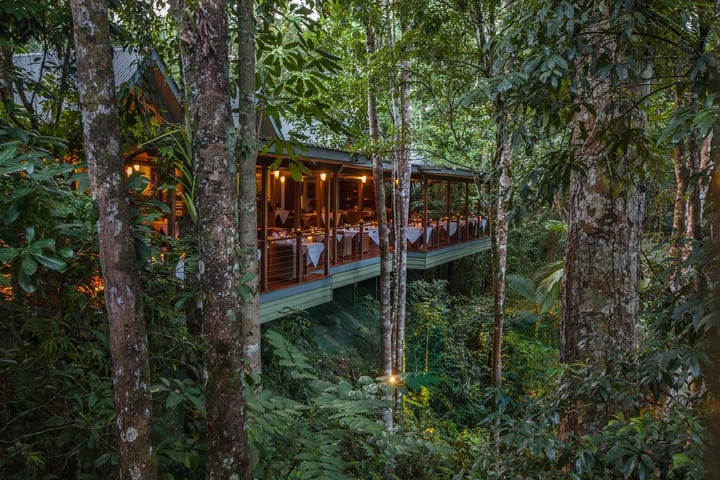 Best Places To Stay in Daintree National Park for Every Budget