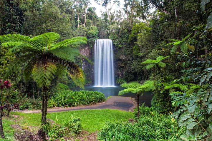 10 Most Popular Things To At Daintree National Park