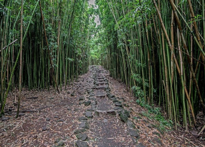 Best Trails To Explore While Visiting Maui: Hikers Guide