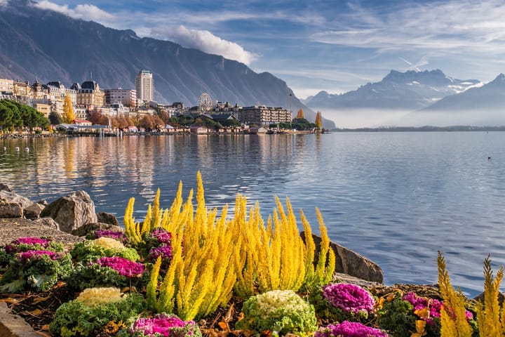 Lake Geneva Switzerland with pretty flowers growing on the edge of the lake and the city in the background.